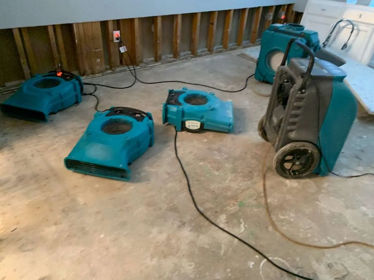 Water Damage Restoration services in Newport, MN